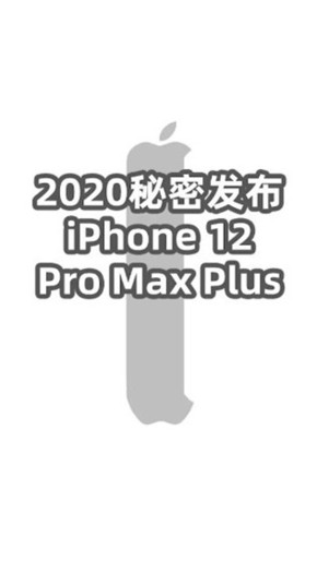 iPhone 12 Pro Max Plus“烘托视频”